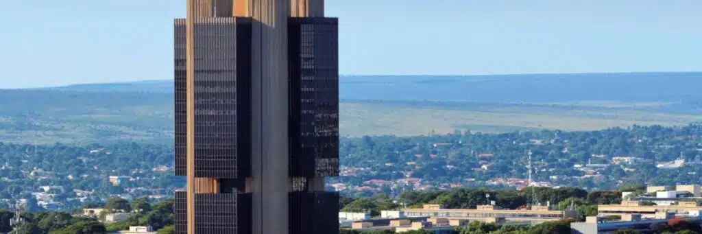 Entendendo as Autoridades Monetárias no Brasil: CMN e BACEN