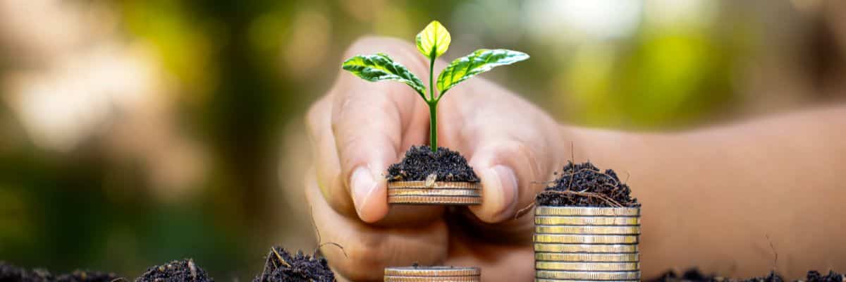 Educação Financeira: O Caminho para o Sucesso no Mercado Financeiro