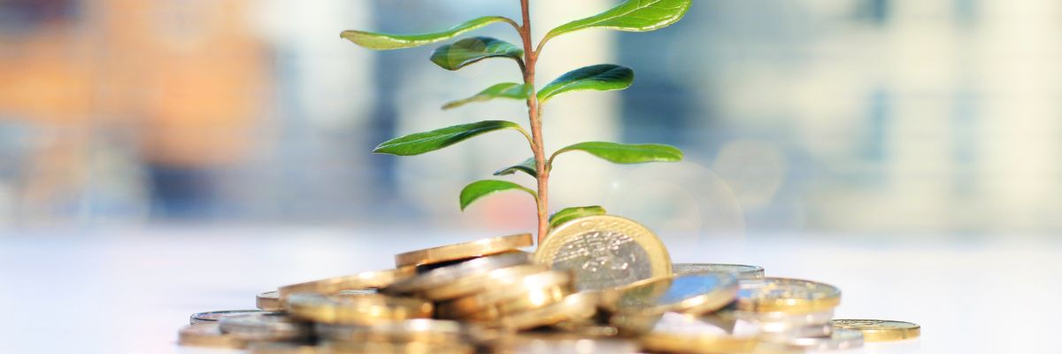 Direitos dos acionistas, Investimento em ações, Dividendos, Juros sobre capital próprio, Bonificação de ações, Direito de subscrição, Mercado financeiro, Investidor inteligente, Bolsa de valores, Capriata Cursos